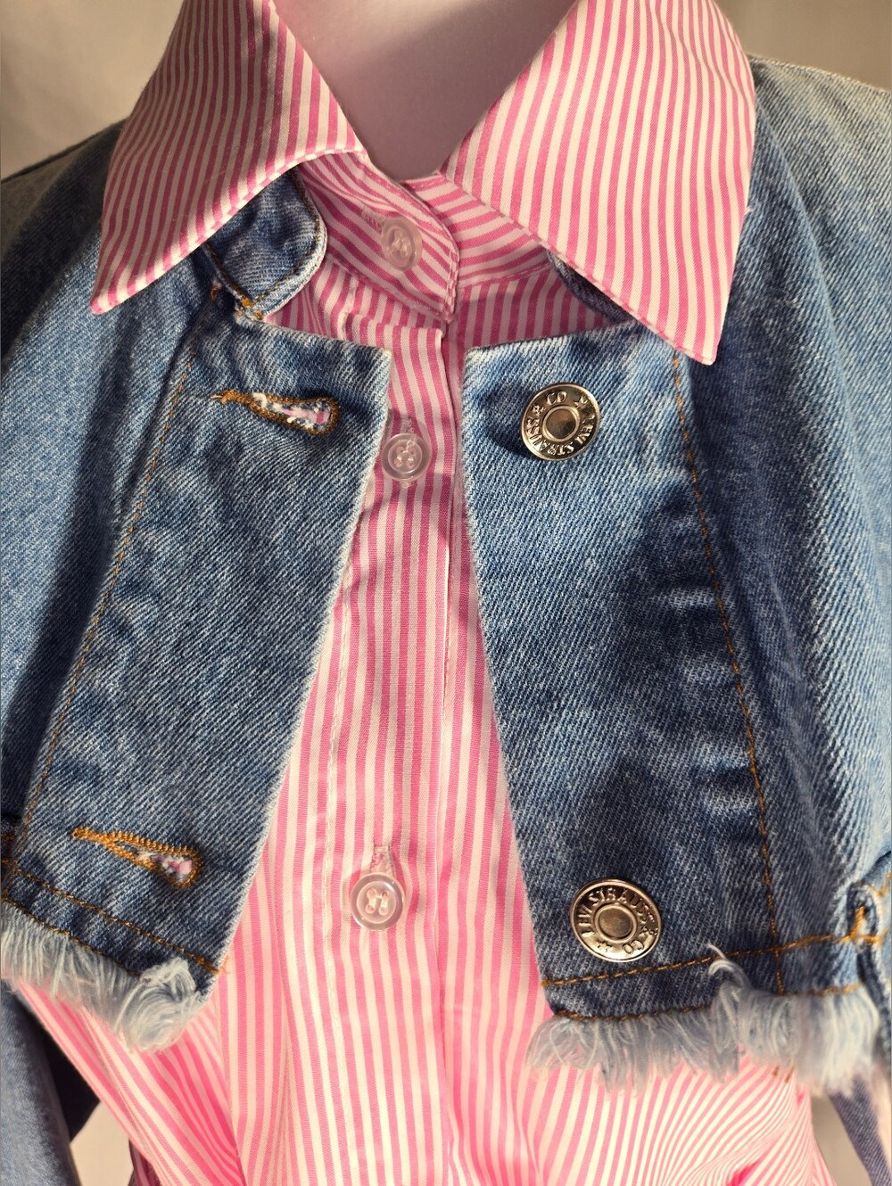 🌸 NWT TOV Holy Los Angeles Mixed Media Denim & Striped Shirt Dress - Picture 5 of 16